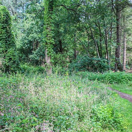 Huiske Oan T Bos Lage Mierde Extérieur photo